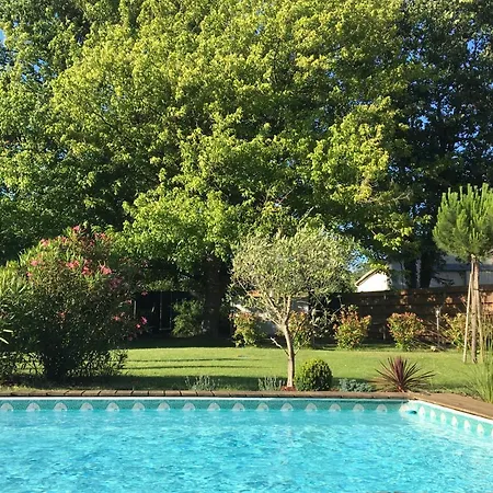Le De La Canopee De 3*